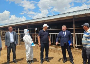 Қазалы: Конго-Қырым геморрагиялық қызбасы ауруына байланысты түсіндірме жұмыстары жүргізілуде