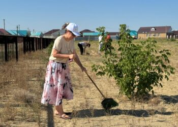 Арал ауданында сенбілік жұмыстары жалғасуда
