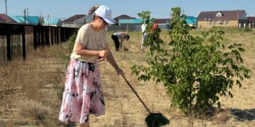 Арал ауданында сенбілік жұмыстары жалғасуда
