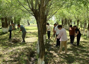 Қазалыда «Таза Қазақстан» акциясы аясында серпінді сенбілік өтті