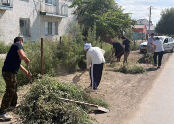 Сырдарияда «Таза Қазақстан» экологиялық акциясы аясында сенбілік жұмыстары жүргізілді