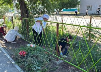 Сырдария: “Таза Қазақстан” экологиялық акциясы аясында сенбілік өтті