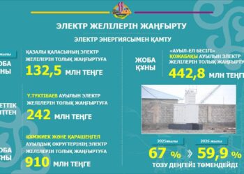 Қазалы: тұрғындарды электр энергиясымен қамту бағытында ауқымды жұмыстар атқарылуда