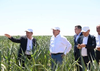 Жалағашта «Harvest Agro» компаниясының агроөнеркәсіптік кластер жобасы қарқынды жүзеге асырылуда