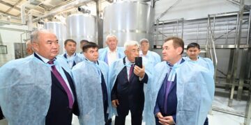 Аралда түйе сүтінен құрғақ ұнтақ шығаратын зауыт іске қосылды