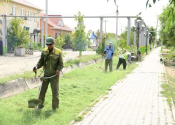Қазалылықтар «Таза Қазақстан» акциясына белсенді атсалысуда