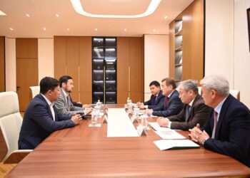 Облыс әкімі “Alpecon Group” компаниясының өкілдерімен инвестициялық жобаны талқылады