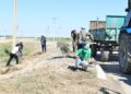 Қазалыда “Таза Қазақстан” экологиялық акциясы өтті
