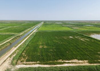 Министр Жалағаш ауданындағы аграрлық саладағы жобалардың іске асырылу барысына оң баға берді