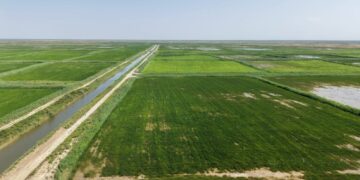 Министр Жалағаш ауданындағы аграрлық саладағы жобалардың іске асырылу барысына оң баға берді