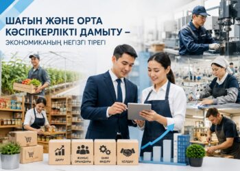 Шағын және орта кәсіпкерлікті қолдау жұмыстары жалғасуда